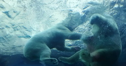 1521272817-IMG_20180317_163937.jpg