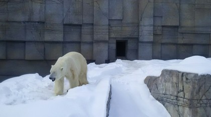 1521272844-IMG_20180317_163734.jpg