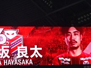 1522327842-DSC08045.JPG