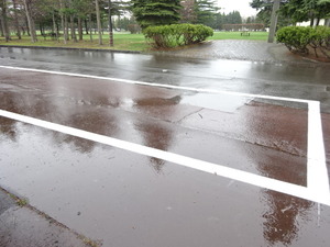 1524718719-DSC08256.JPG