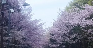 1528905267-IMG_20180614_004358.jpg