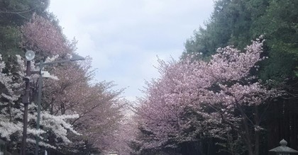 1528905334-IMG_20180614_004455.jpg