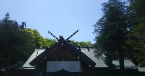 1528905415-IMG_20180614_004757.jpg