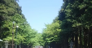 1528905428-IMG_20180614_004815.jpg