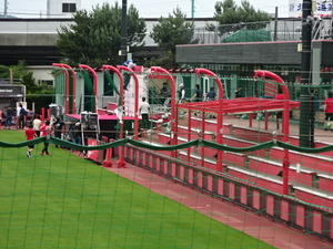 1530263618-DSC08528.JPG