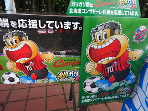 1531989474-DSC08605.JPG