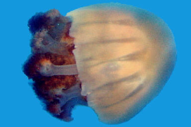 20060209-01.jpg