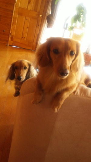 20111121-00.jpg
