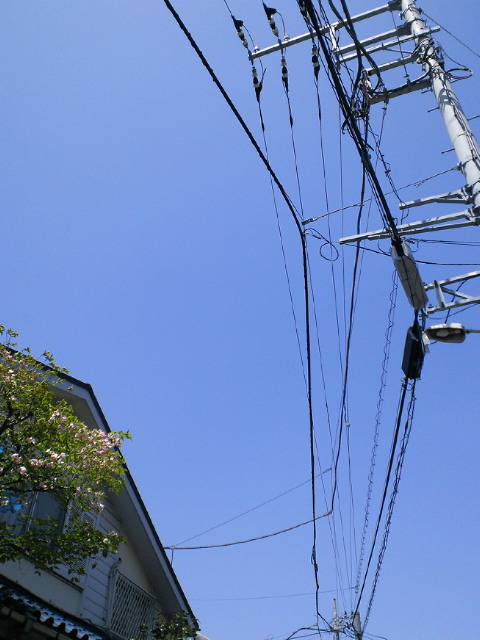 200904261147000.jpg