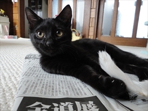 まさに「俺王様」状態！