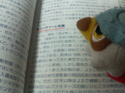 見てみてっ！