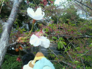 200704152002000.jpg