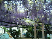 20070501-1