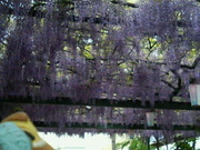 20070501-2