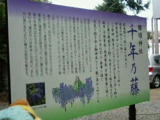 20070501-4