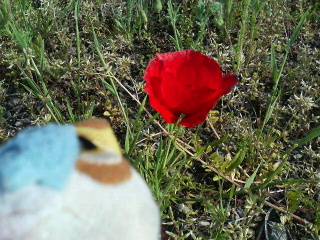 200705032013000.jpg