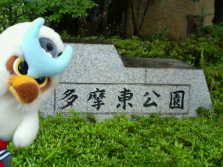 200705061618000.jpg