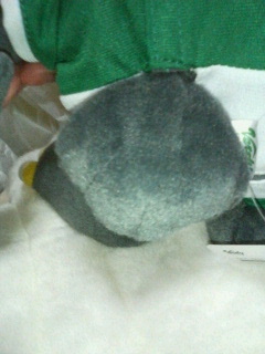 200705071853000.jpg
