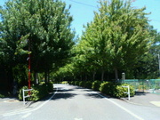 20070823-2