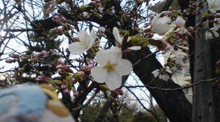 20080323195700.jpg