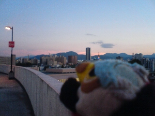 20080726095020.jpg