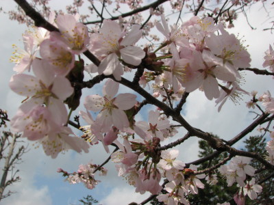 07050501