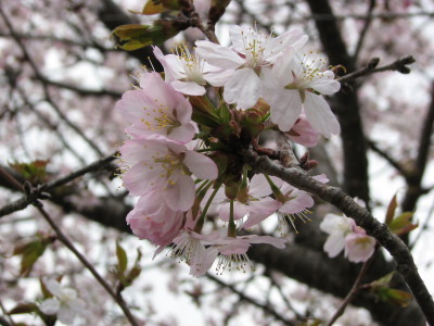 07050502