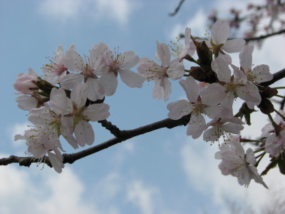 07050503