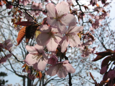 07050601