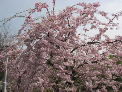 08040501