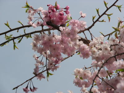 08040502