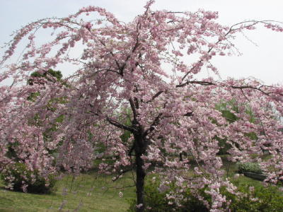 08040503