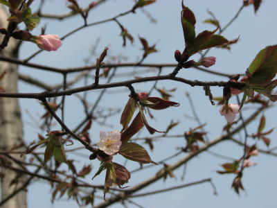 08042003
