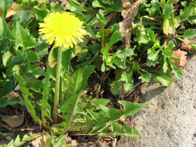 08042704
