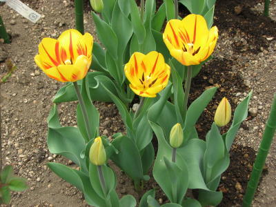 08050301
