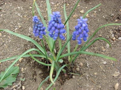 08050303