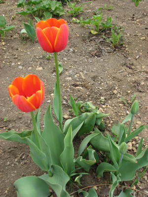 08050304