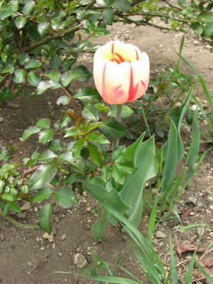 08050305