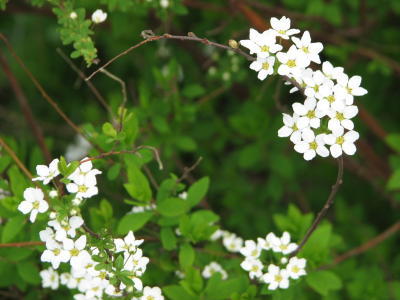 08050306