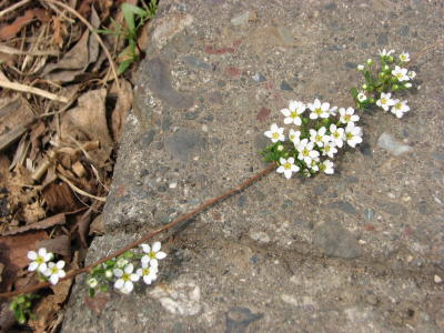08050311
