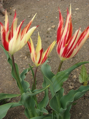 08042902