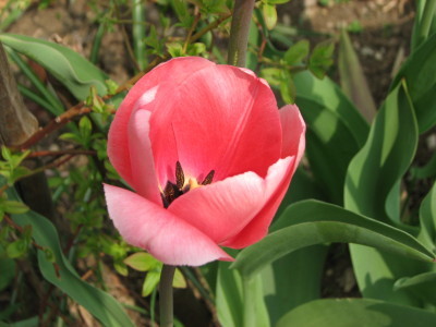 08050301