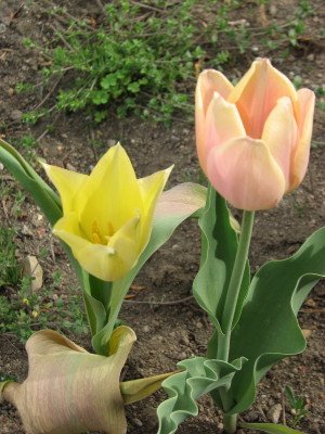 08050402
