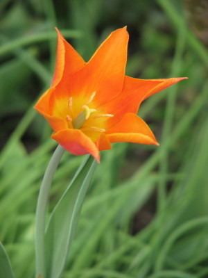 08050403