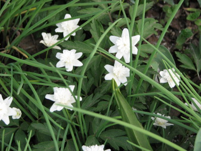 08050404