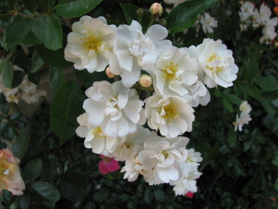 08062801