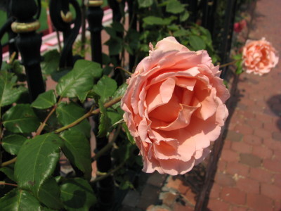 08062808