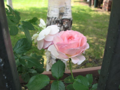 08062810