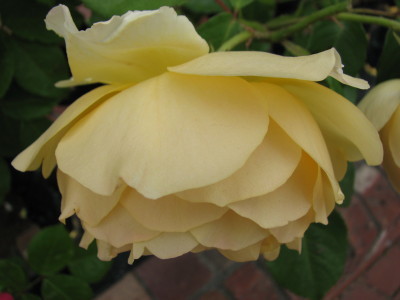 08062905