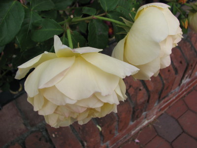 08062908